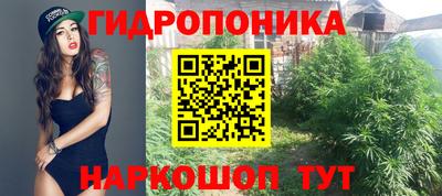 apvp Беслан