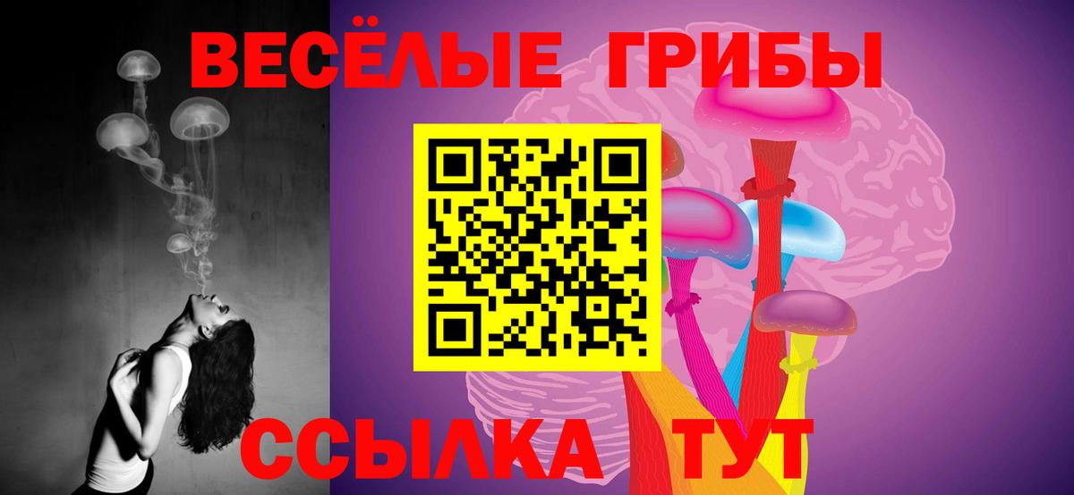 Псилоцибиновые грибы мицелий  Вход с VPN  Псилоцибиновые грибы MAGIC MUSHROOMS  Ижевск 